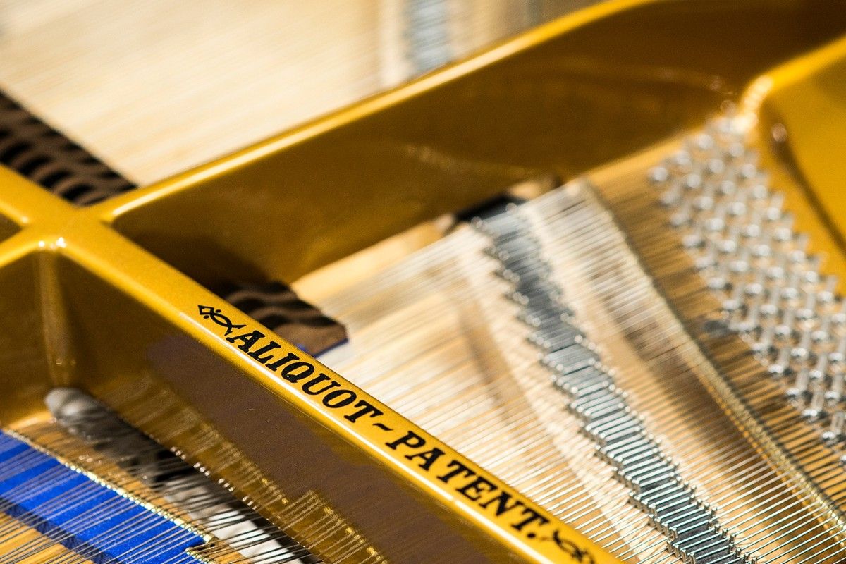 BLÜTHNER ALIQUOT PATENT