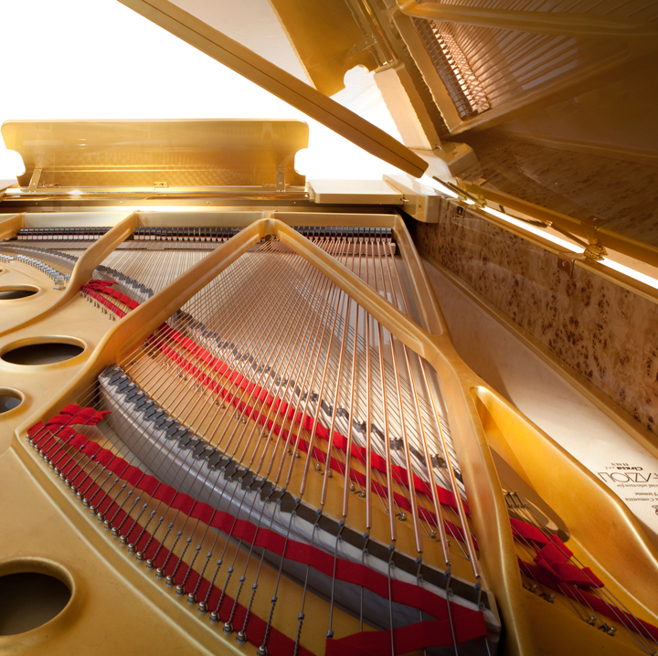 Fazioli Golden Leaf - Image 2 - View 2